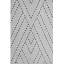 PŁYTY BETONOWE 3D

Płyta LONG 03 – 2100 x 328 x 13 mm - LONG03